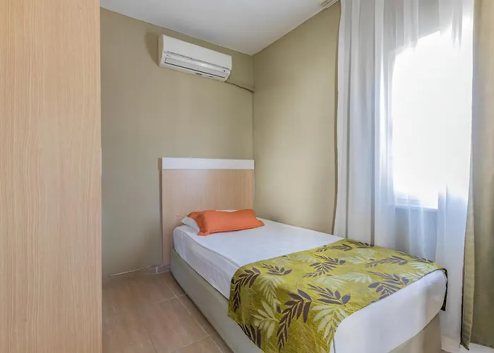 Akdora Elite & 锡德