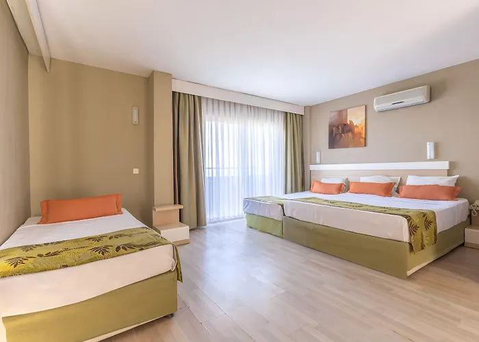 Akdora Elite & 锡德